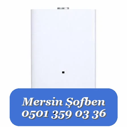 0501 359 03 36 | Vaillant Şofben Servisi Mersin | Özel Tamir & Bakım